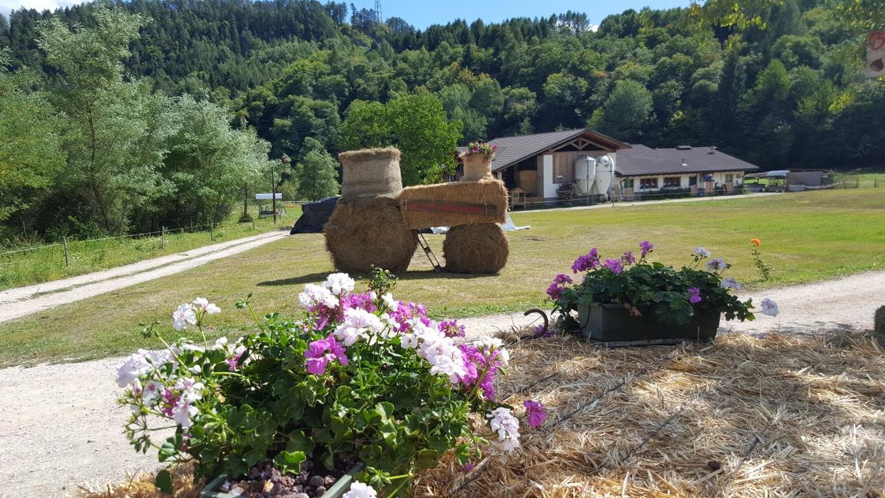 Agriturismo Fattoria Dalcastagne Torcegno Exterior foto